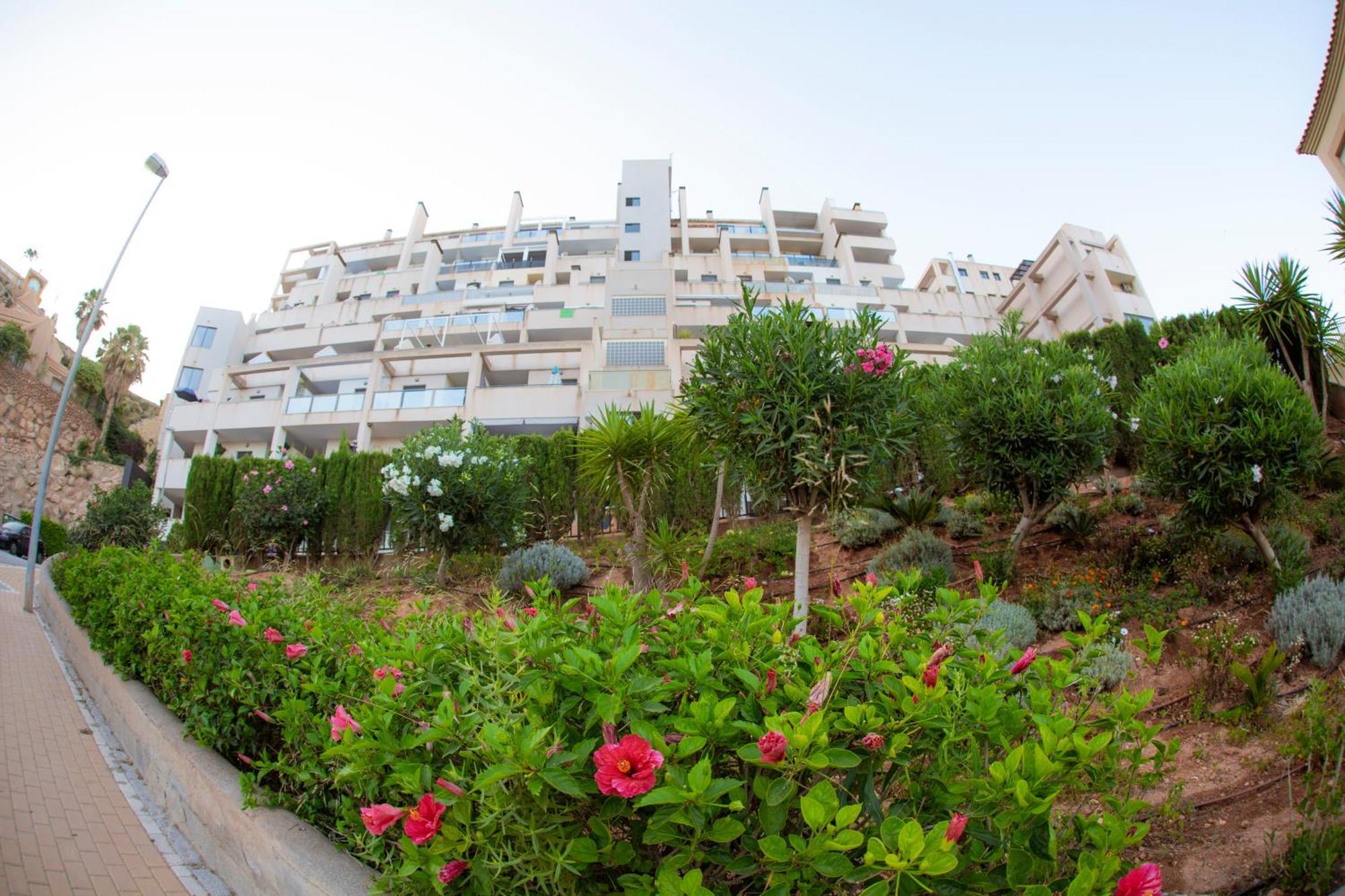 Apartamentos Msc Golf & Beach La Envia Extérieur photo